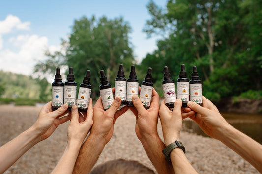 Why We Use Alcohol In Our Mushroom Extracts