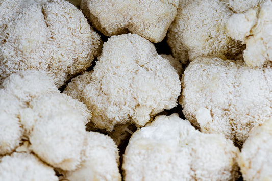 Does Lion's Mane Interact With Medications? A Safety Guide For Using Lion's Mane Supplements