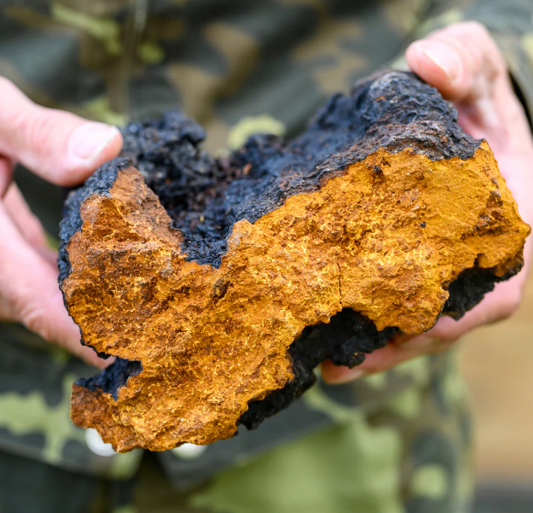 The Top 4 Skin Health Benefits Of Chaga Extract