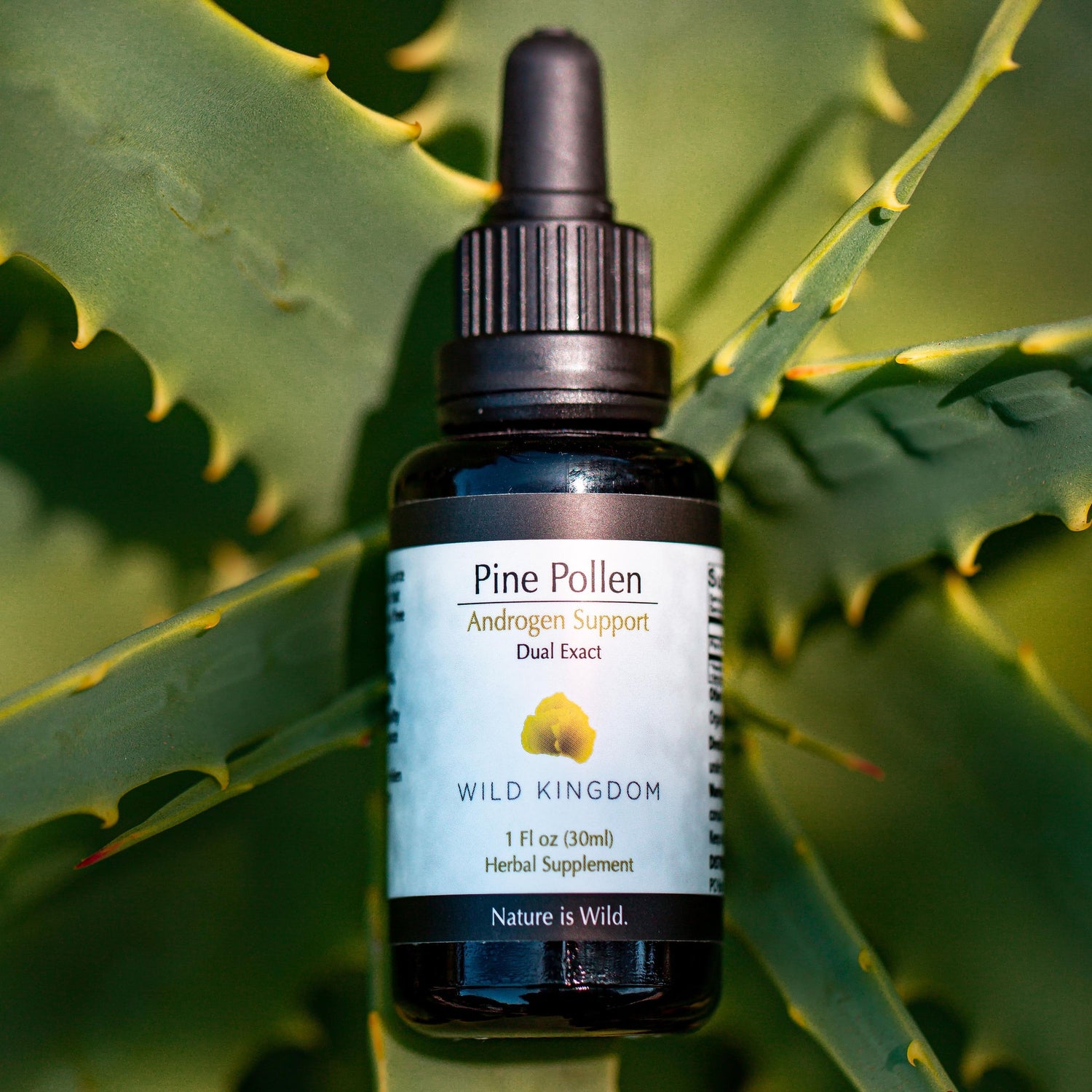 Pine Pollen Extract