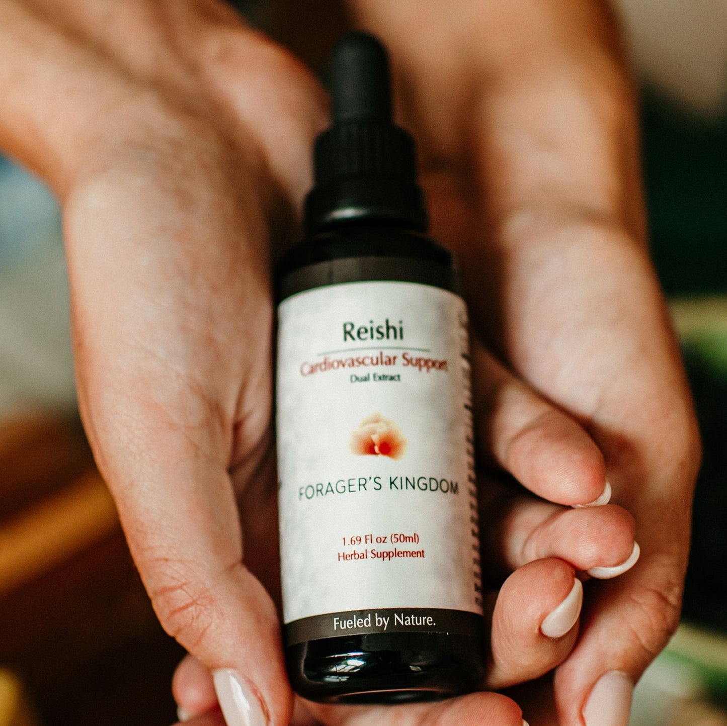 Reishi Extract