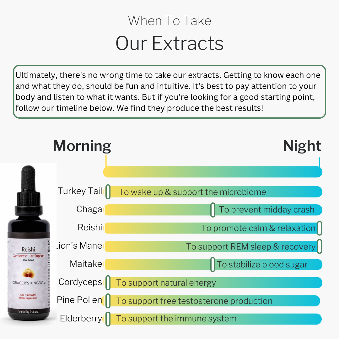 Elderberry Extract