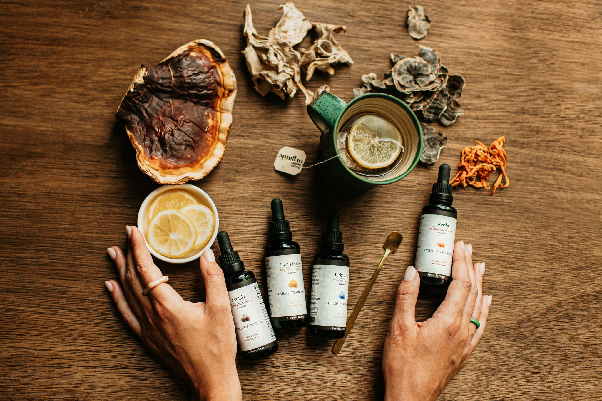 Best Mushroom Extracts