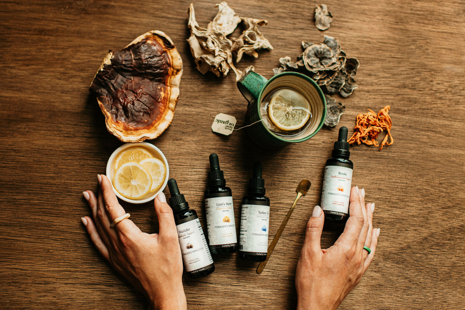 Best Mushroom Extracts