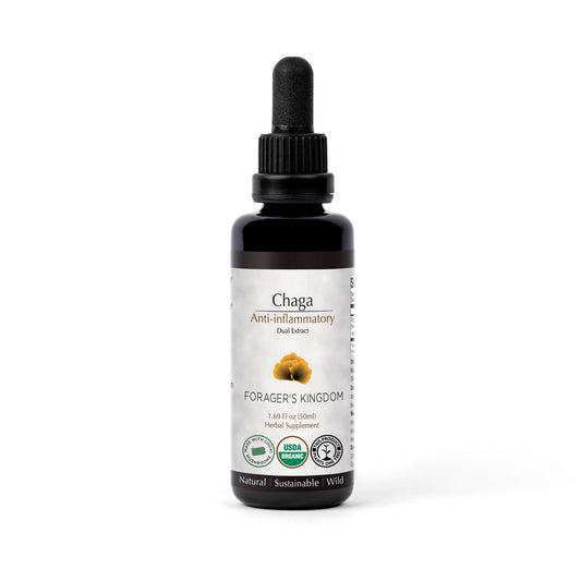 Chaga Extract