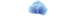 Forager's Kingdom 