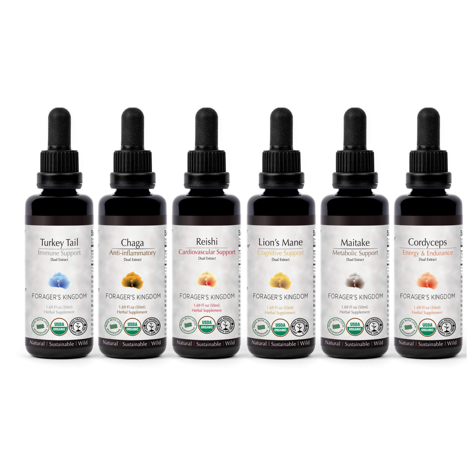 6 Life-Changing Mushroom Extracts l Foragers Kingdom – Forager's 6 Life-Changing Mushroom Extracts l Foragers Kingdom – Forager's