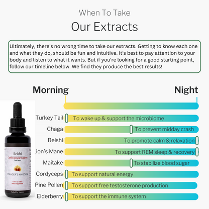 When to take mushroom extracts